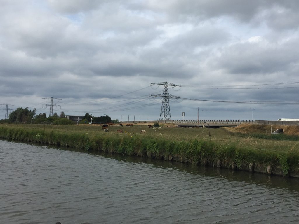 westland met kinderen