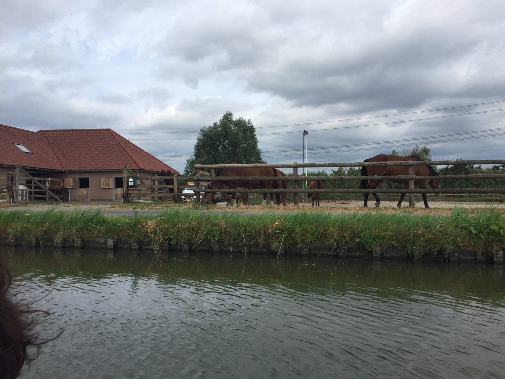 westland met kinderen