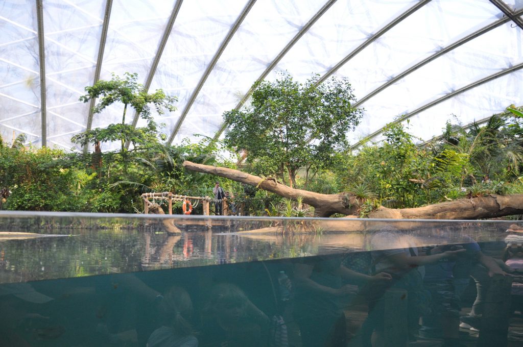 dagje burgers zoo