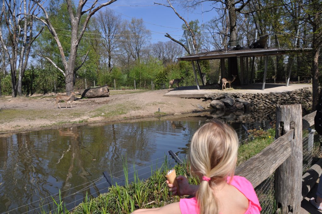 dagje burgers zoo