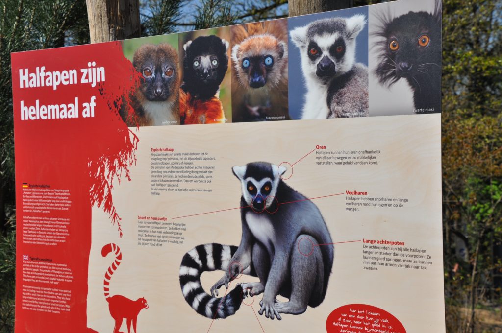 dagje burgers zoo