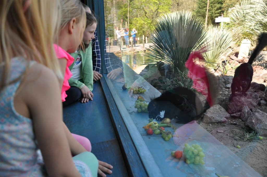 dagje burgers zoo
