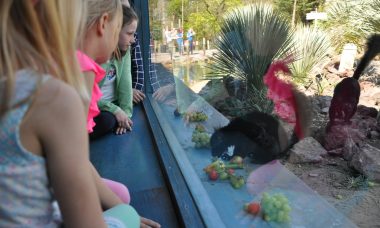 dagje burgers zoo