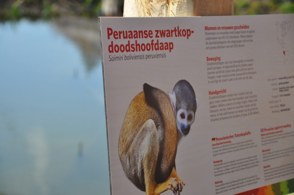 dagje burgers zoo