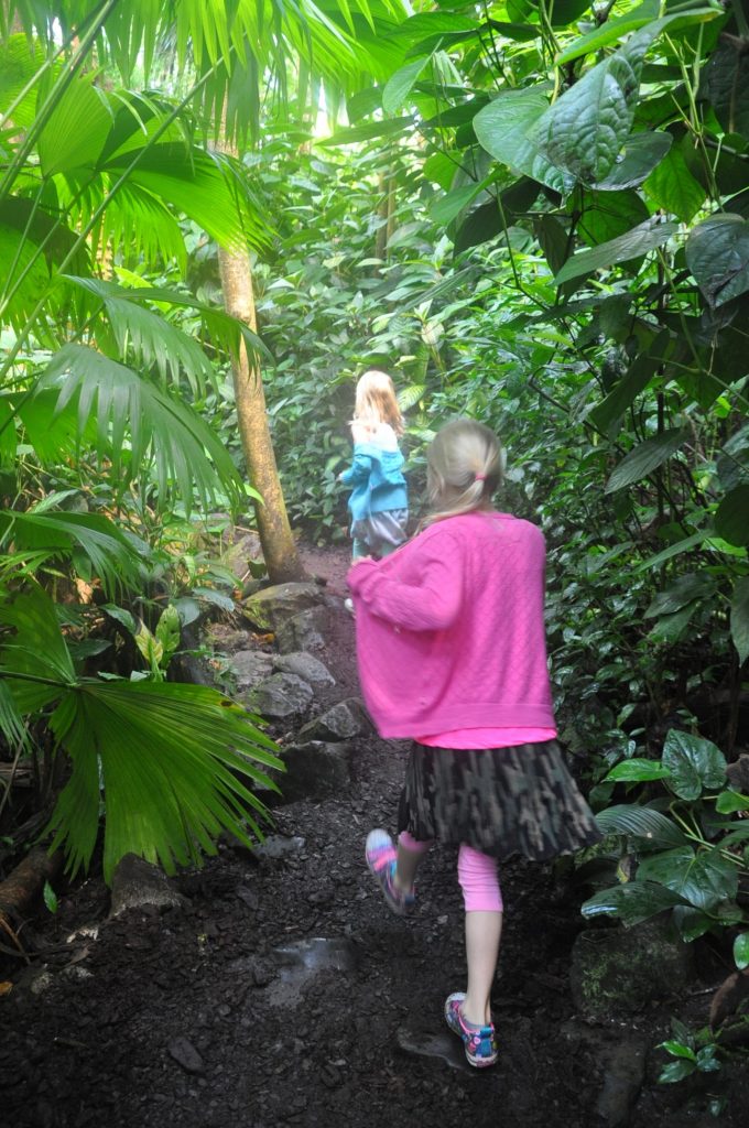 dagje burgers zoo