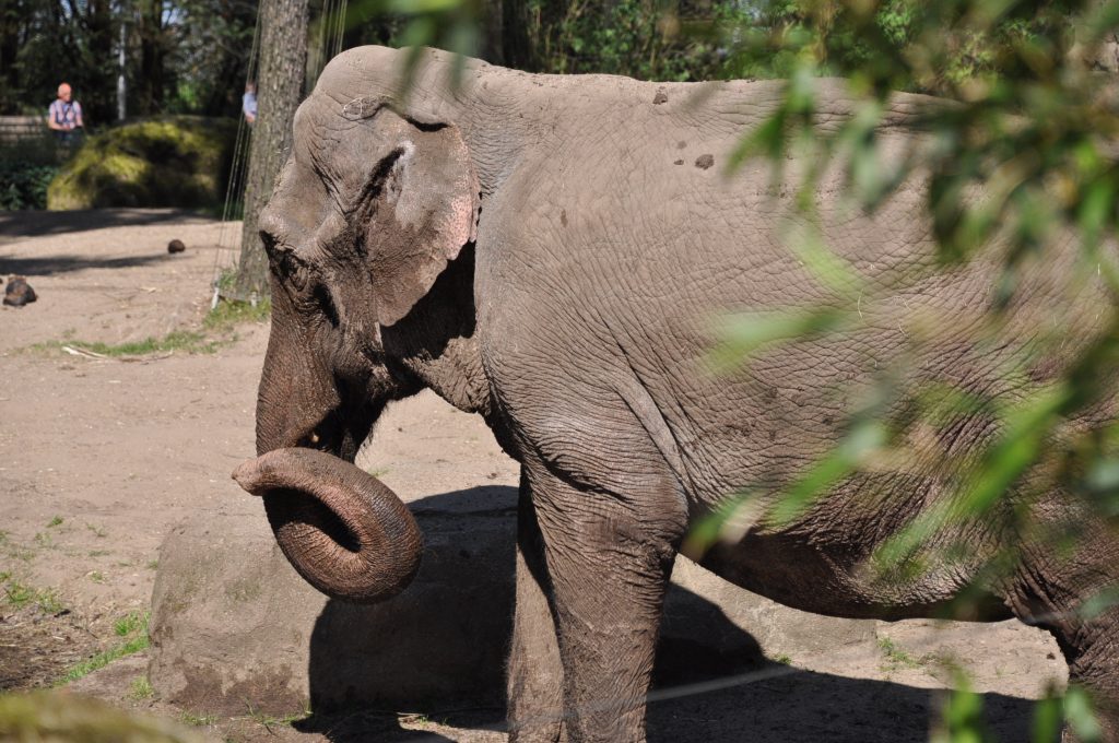 dagje burgers zoo