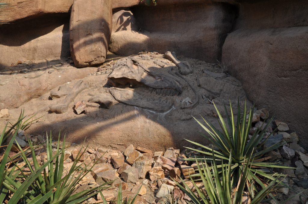 dagje burgers zoo