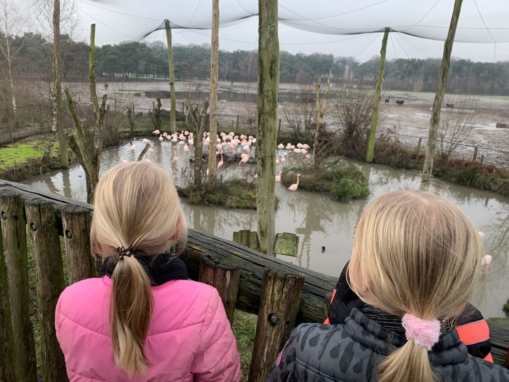 winter safaripark beekse bergen