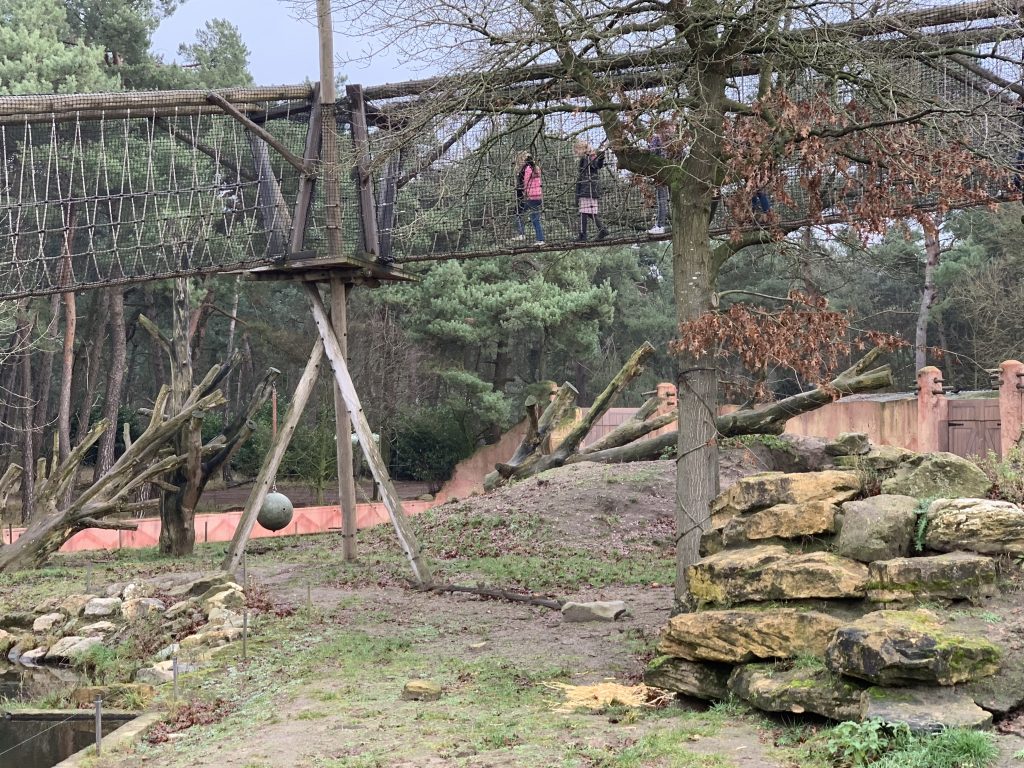ervaring safaripark beekse bergen
