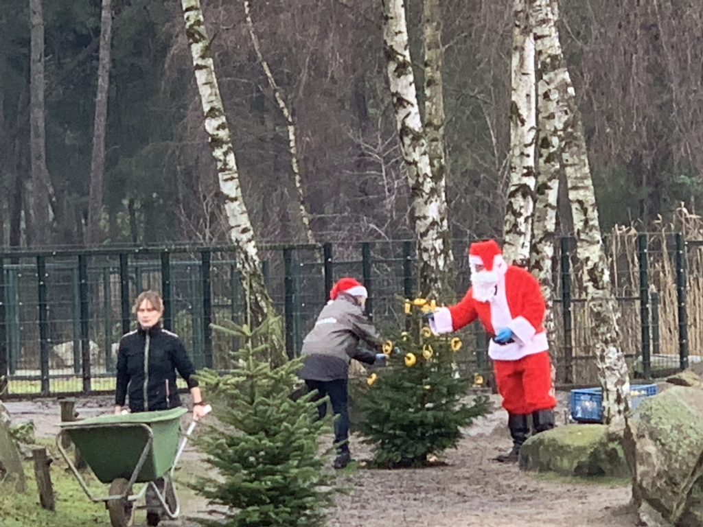 kerstman safaripark