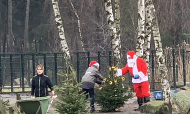 kerstman safaripark