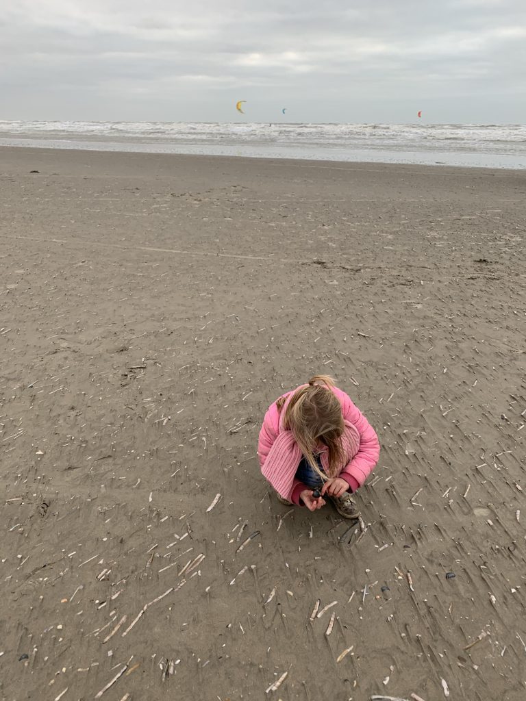 apollo hotel ijmuiden seaport beach