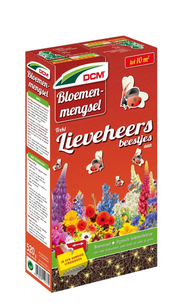 lieveheersbeestjes zaad