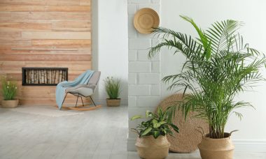 ecologisch wonen