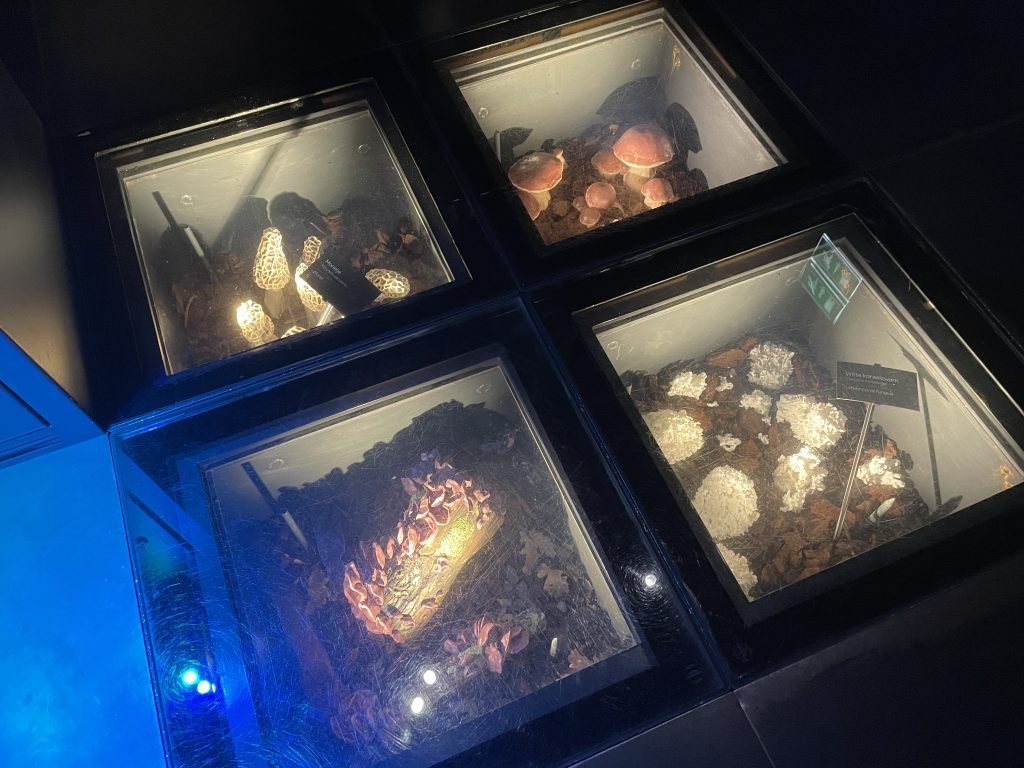 artis micropia tentoonstelling