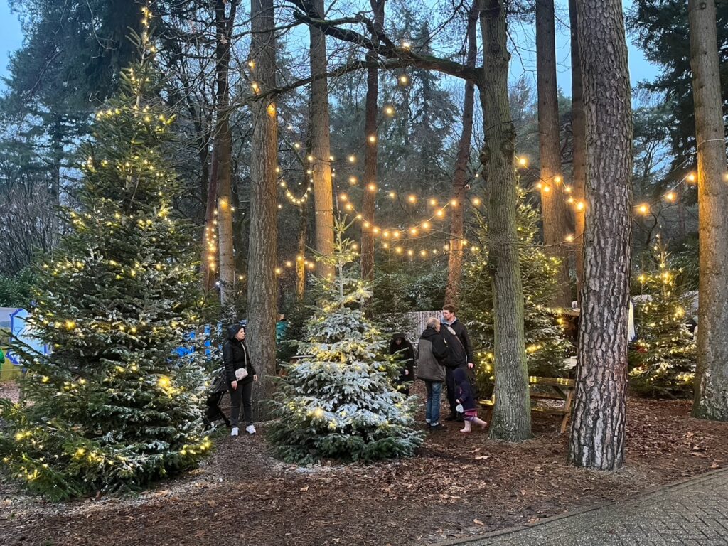 amersfoort warmewinteravonden