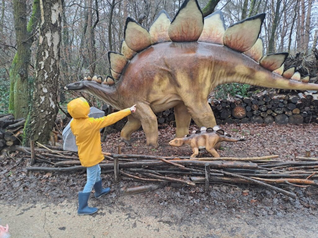 dierenpark amersfoort wildlife weken