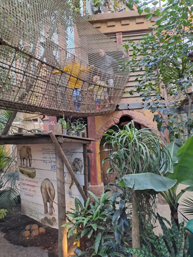 dierenpark amersfoort wildlife weken