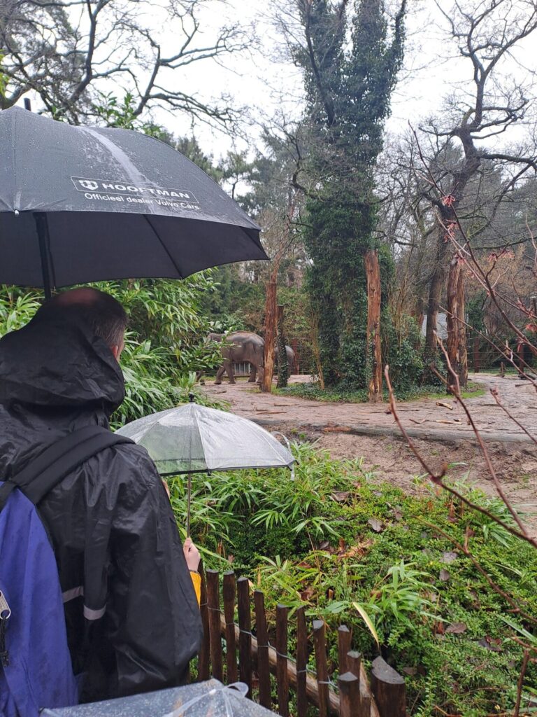 dierenpark amersfoort wildlife weken
